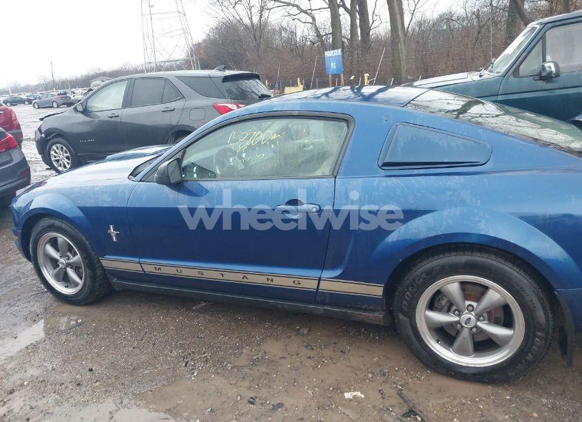 Photo 14 of 2006 Ford Mustang V6 (VIN 1ZVFT80N865162611)