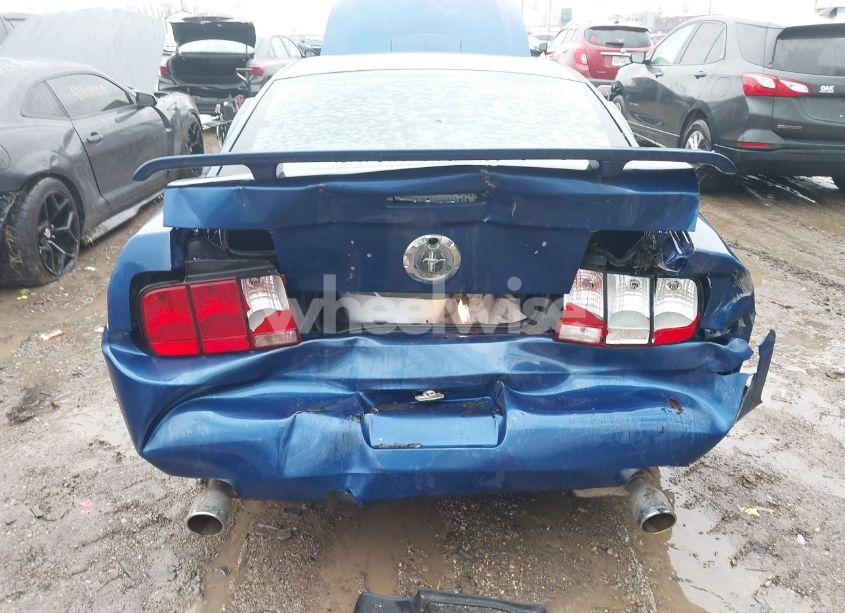 Photo 6 of 2006 Ford Mustang V6 (VIN 1ZVFT80N865162611)