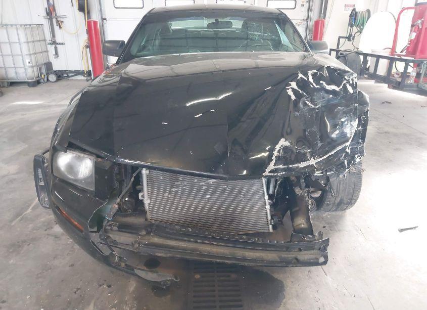 Photo 13 of 2006 Ford Mustang V6 (VIN 1ZVFT80N865174032)