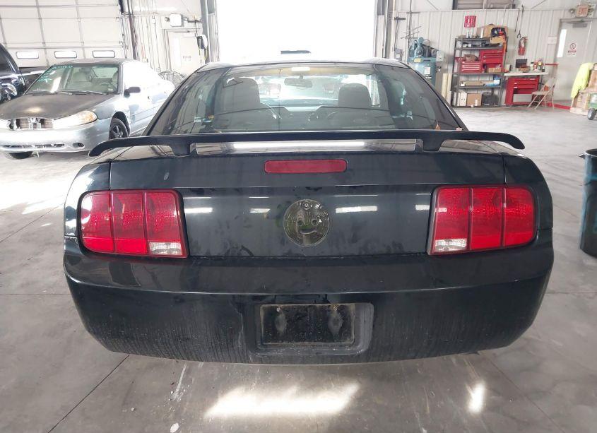 Photo 17 of 2006 Ford Mustang V6 (VIN 1ZVFT80N865174032)