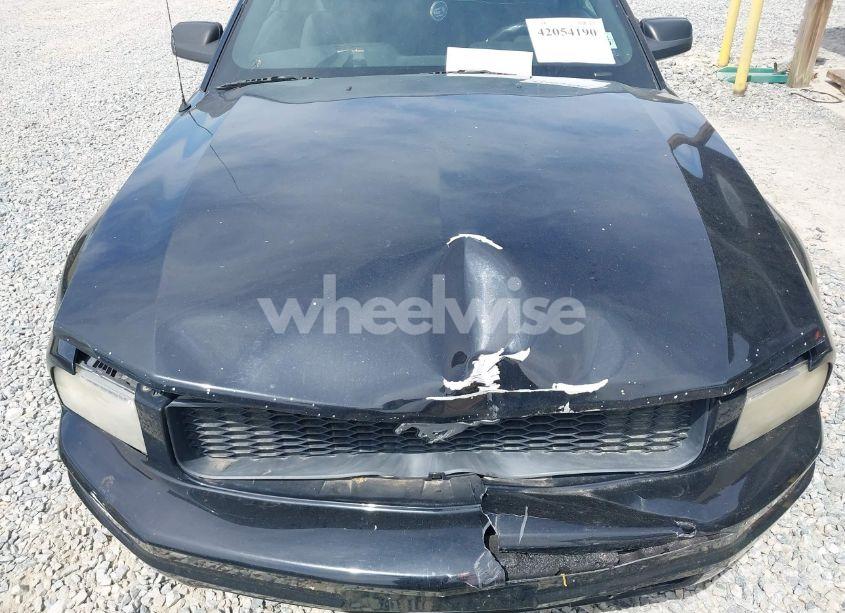 Photo 10 of 2007 Ford Mustang V6 DELUXE/V6 PREMIUM (VIN 1ZVFT80N875226941)