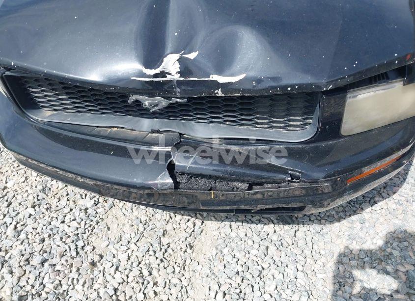 Photo 13 of 2007 Ford Mustang V6 DELUXE/V6 PREMIUM (VIN 1ZVFT80N875226941)