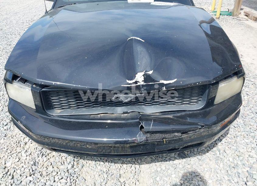 Photo 6 of 2007 Ford Mustang V6 DELUXE/V6 PREMIUM (VIN 1ZVFT80N875226941)