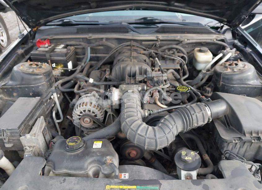 Photo 10 of 2007 Ford Mustang V6 DELUXE/V6 PREMIUM (VIN 1ZVFT80N875241682)