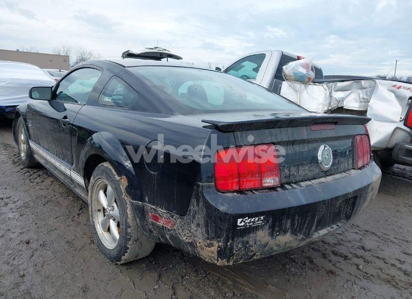 Photo 3 of 2007 Ford Mustang V6 DELUXE/V6 PREMIUM (VIN 1ZVFT80N875241682)