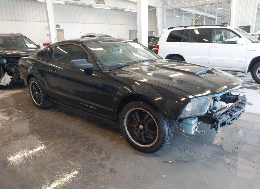 2007 Ford Mustang V6 DELUXE/V6 PREMIUM (VIN 1ZVFT80N875302268) main photo