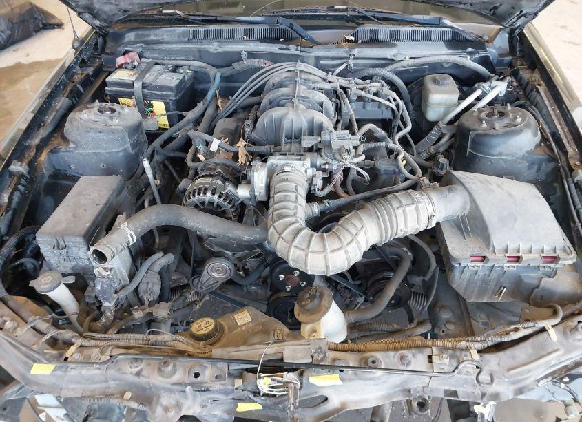 Photo 10 of 2007 Ford Mustang V6 DELUXE/V6 PREMIUM (VIN 1ZVFT80N875302268)