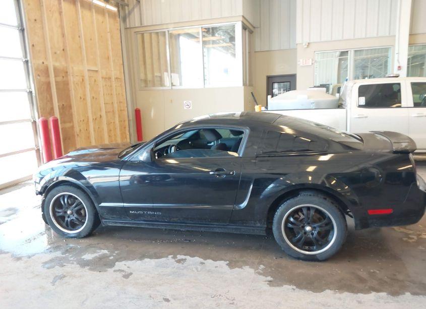 Photo 15 of 2007 Ford Mustang V6 DELUXE/V6 PREMIUM (VIN 1ZVFT80N875302268)