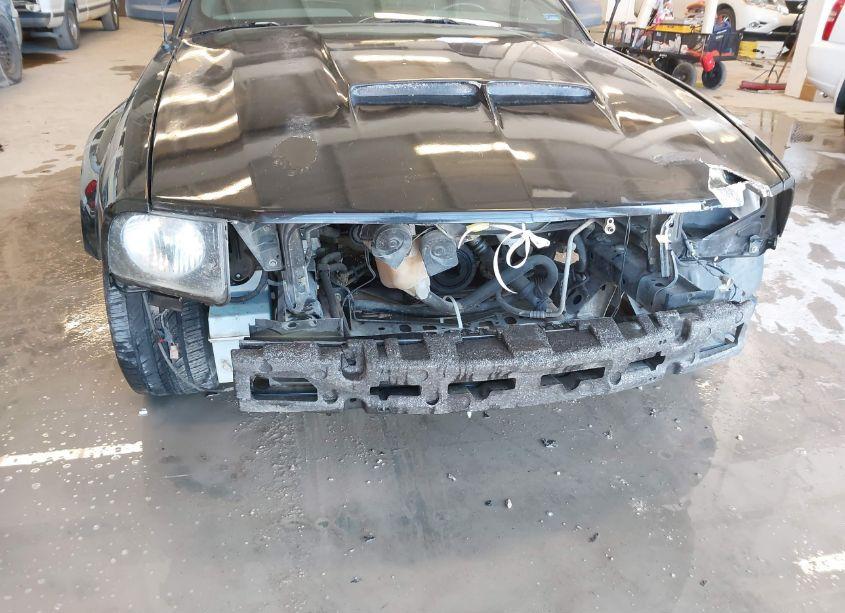 Photo 18 of 2007 Ford Mustang V6 DELUXE/V6 PREMIUM (VIN 1ZVFT80N875302268)