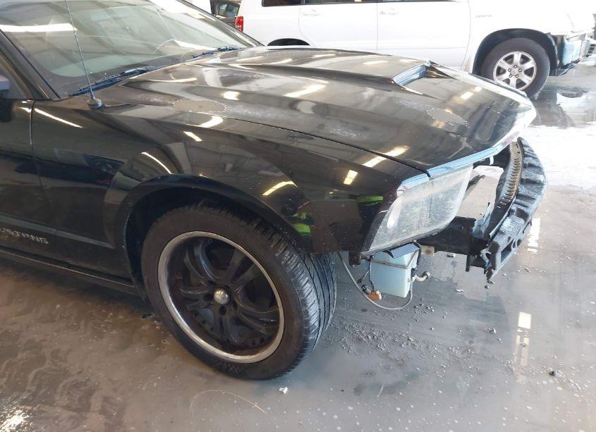 Photo 19 of 2007 Ford Mustang V6 DELUXE/V6 PREMIUM (VIN 1ZVFT80N875302268)