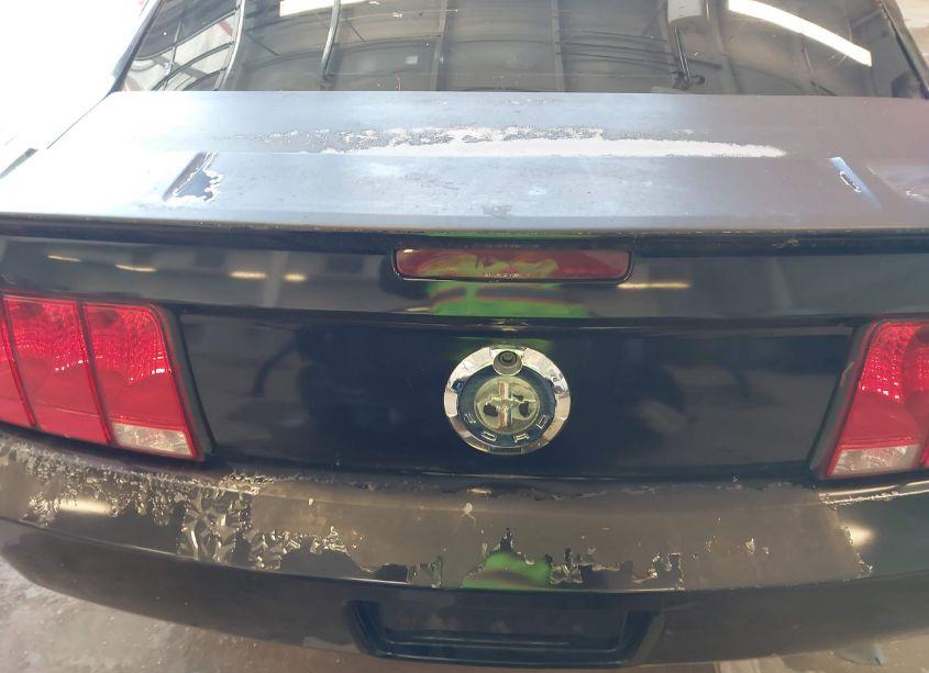 Photo 21 of 2007 Ford Mustang V6 DELUXE/V6 PREMIUM (VIN 1ZVFT80N875302268)