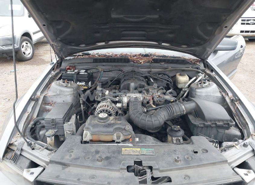 Photo 10 of 2007 Ford Mustang V6 DELUXE/V6 PREMIUM (VIN 1ZVFT80N875349929)