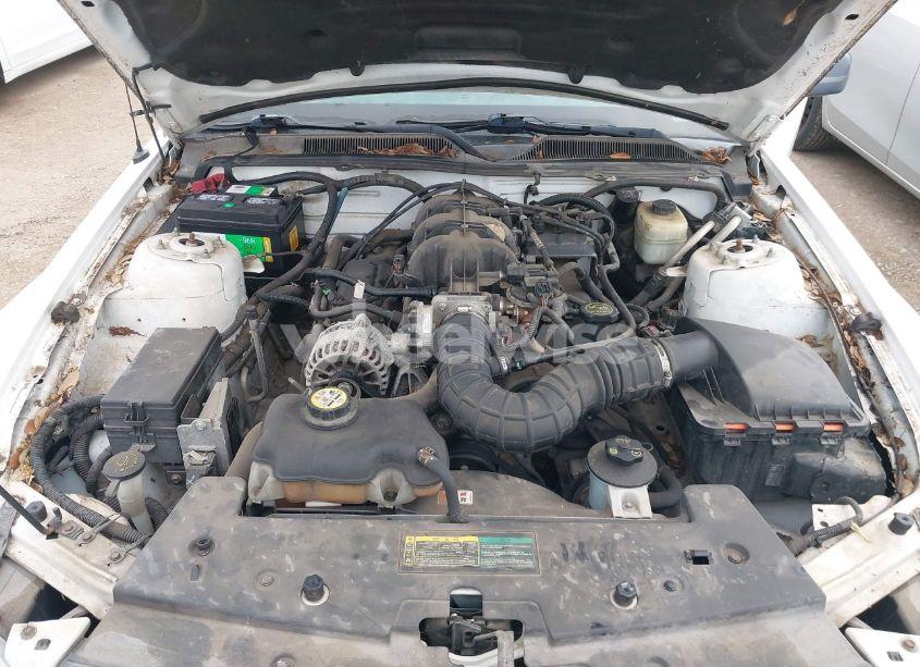 Photo 10 of 2007 Ford Mustang V6 DELUXE/V6 PREMIUM (VIN 1ZVFT80N875359456)