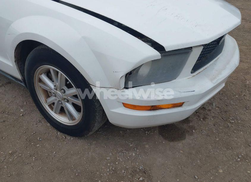 Photo 6 of 2007 Ford Mustang V6 DELUXE/V6 PREMIUM (VIN 1ZVFT80N875359456)