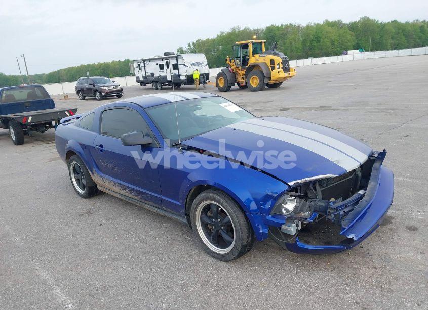 2005 Ford Mustang V6 DELUXE/V6 PREMIUM (VIN 1ZVFT80N955103890) main photo