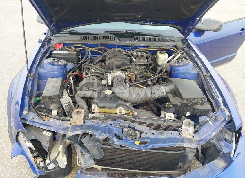 Photo 10 of 2005 Ford Mustang V6 DELUXE/V6 PREMIUM (VIN 1ZVFT80N955103890)