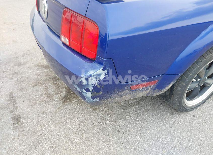 Photo 12 of 2005 Ford Mustang V6 DELUXE/V6 PREMIUM (VIN 1ZVFT80N955103890)