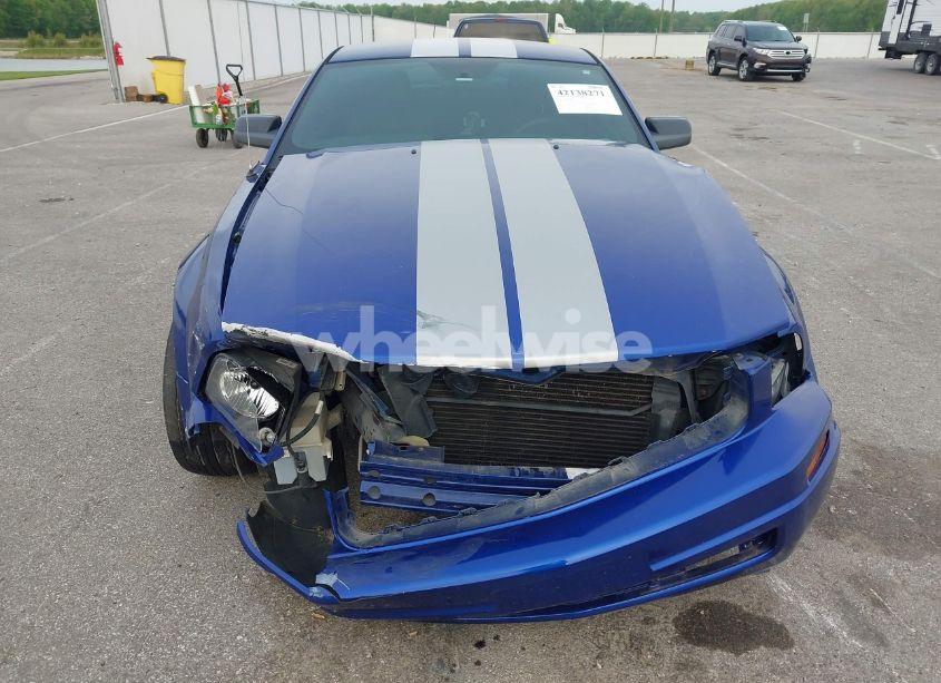 Photo 6 of 2005 Ford Mustang V6 DELUXE/V6 PREMIUM (VIN 1ZVFT80N955103890)