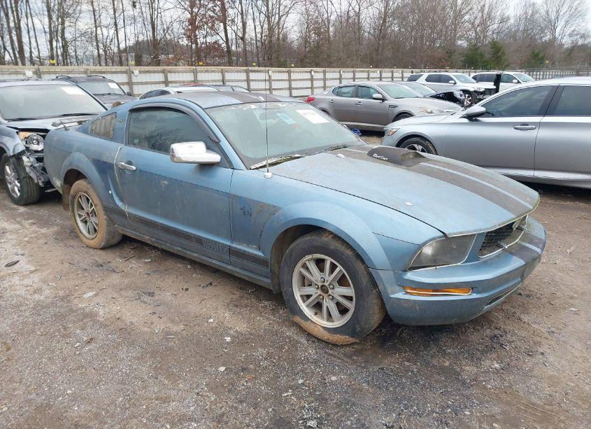 2005 Ford Mustang (VIN 1ZVFT80N955116302) main photo