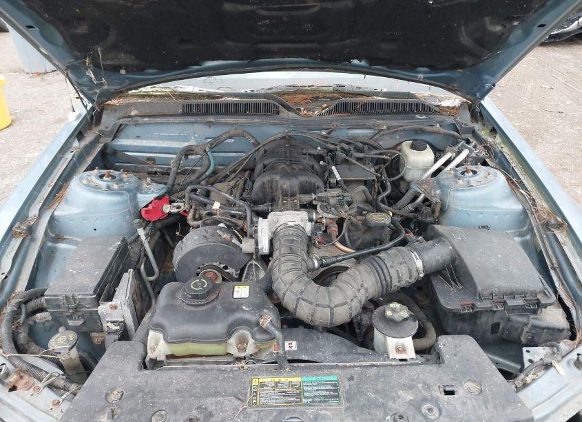 Photo 10 of 2005 Ford Mustang (VIN 1ZVFT80N955116302)