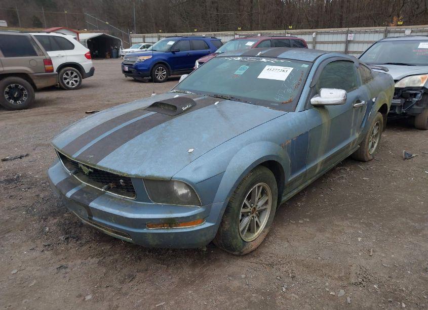 Photo 2 of 2005 Ford Mustang (VIN 1ZVFT80N955116302)