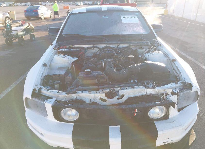 Photo 10 of 2005 Ford Mustang V6 DELUXE/V6 PREMIUM (VIN 1ZVFT80N955131012)