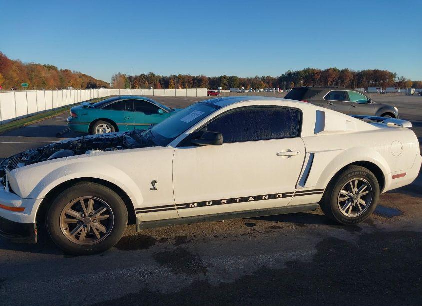 Photo 13 of 2005 Ford Mustang V6 DELUXE/V6 PREMIUM (VIN 1ZVFT80N955131012)