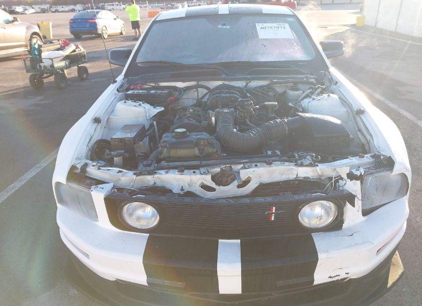 Photo 6 of 2005 Ford Mustang V6 DELUXE/V6 PREMIUM (VIN 1ZVFT80N955131012)