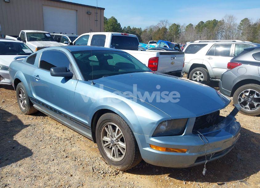 2005 Ford Mustang V6 DELUXE/V6 PREMIUM (VIN 1ZVFT80N955169470) main photo