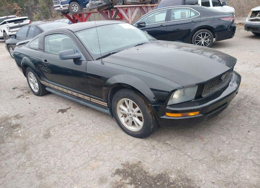 2005 Ford Mustang V6 DELUXE/V6 PREMIUM (VIN 1ZVFT80N955169498) main photo