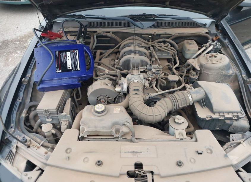 Photo 10 of 2005 Ford Mustang V6 DELUXE/V6 PREMIUM (VIN 1ZVFT80N955169498)