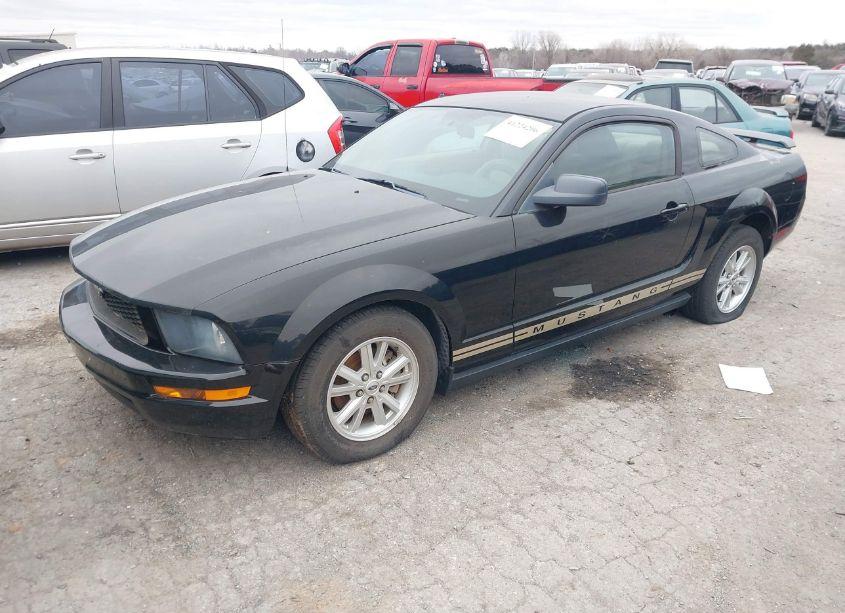Photo 2 of 2005 Ford Mustang V6 DELUXE/V6 PREMIUM (VIN 1ZVFT80N955169498)