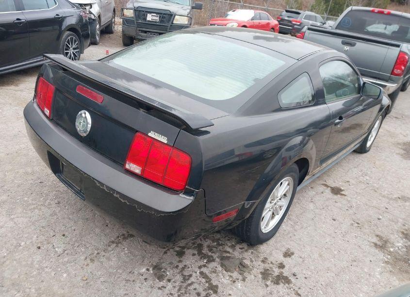 Photo 4 of 2005 Ford Mustang V6 DELUXE/V6 PREMIUM (VIN 1ZVFT80N955169498)