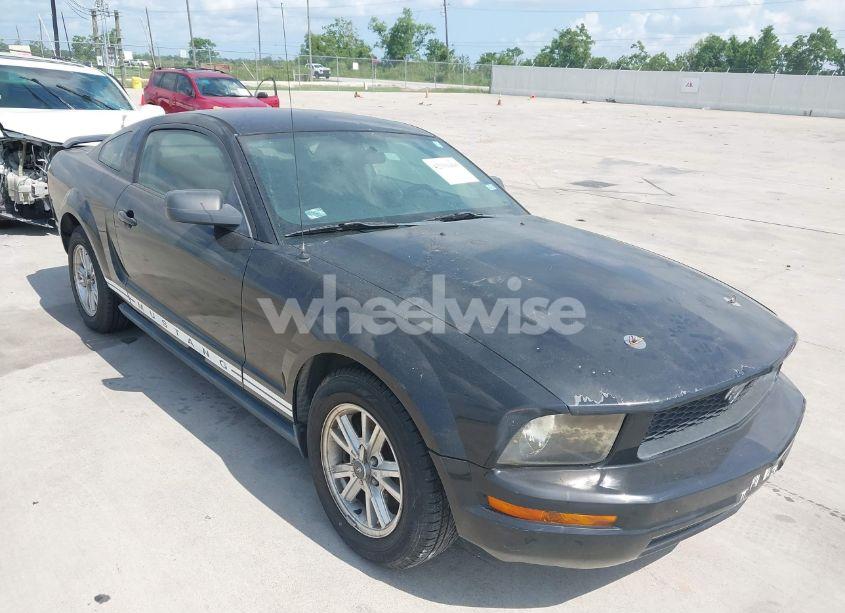 2005 Ford Mustang V6 DELUXE/V6 PREMIUM (VIN 1ZVFT80N955174054) main photo