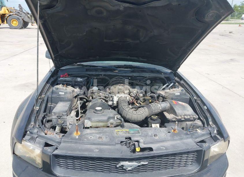 Photo 10 of 2005 Ford Mustang V6 DELUXE/V6 PREMIUM (VIN 1ZVFT80N955174054)
