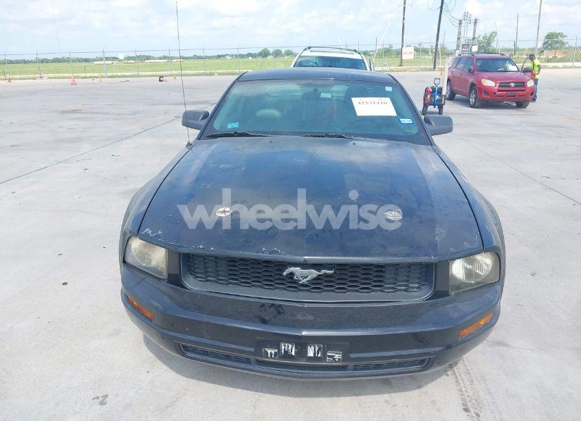 Photo 6 of 2005 Ford Mustang V6 DELUXE/V6 PREMIUM (VIN 1ZVFT80N955174054)