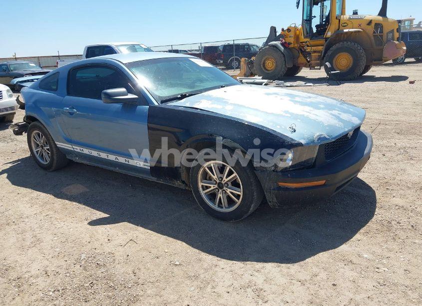 2005 Ford Mustang V6 DELUXE/V6 PREMIUM (VIN 1ZVFT80N955256205) main photo