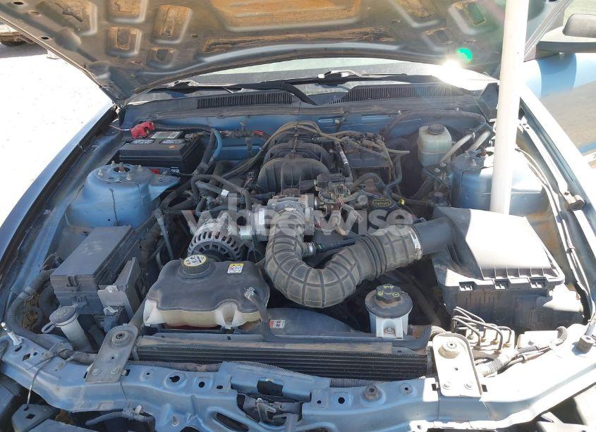 Photo 10 of 2005 Ford Mustang V6 DELUXE/V6 PREMIUM (VIN 1ZVFT80N955256205)