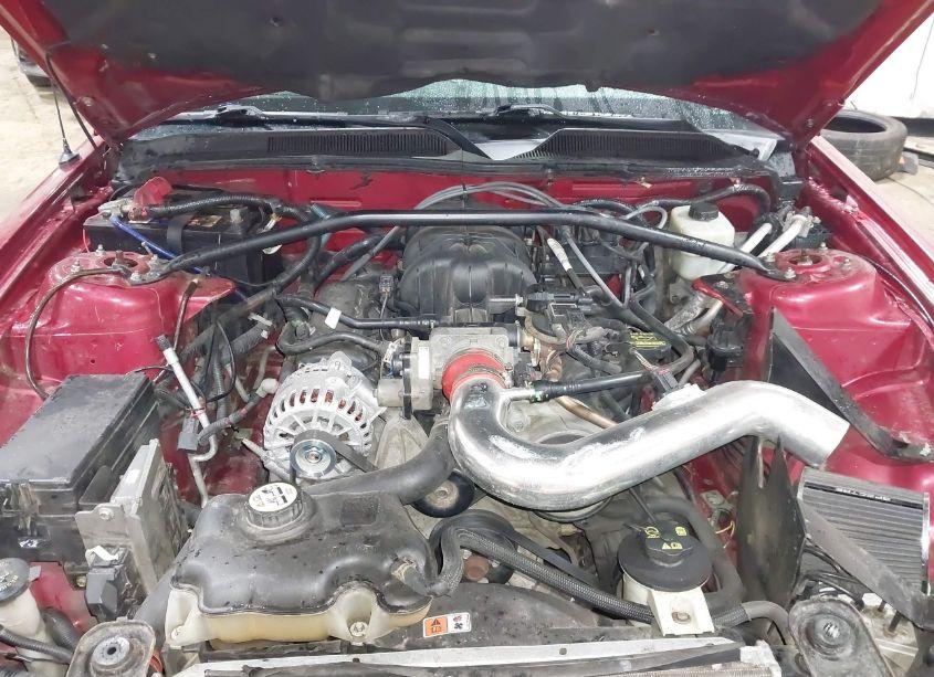 Photo 10 of 2006 Ford Mustang V6 (VIN 1ZVFT80N965115264)