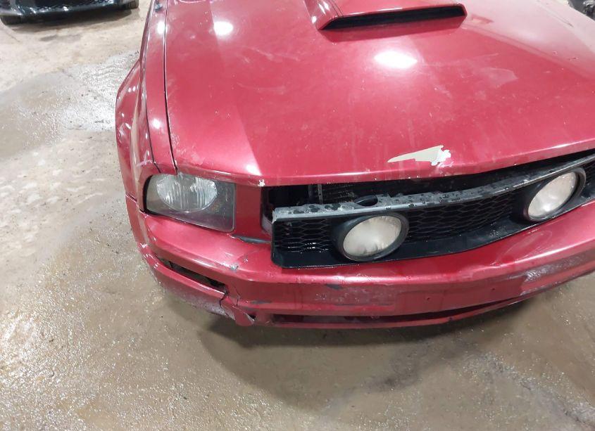 Photo 6 of 2006 Ford Mustang V6 (VIN 1ZVFT80N965115264)