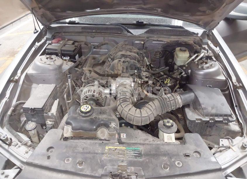 Photo 10 of 2006 Ford Mustang V6 (VIN 1ZVFT80N965118228)
