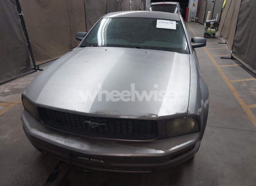 Photo 6 of 2006 Ford Mustang V6 (VIN 1ZVFT80N965118228)