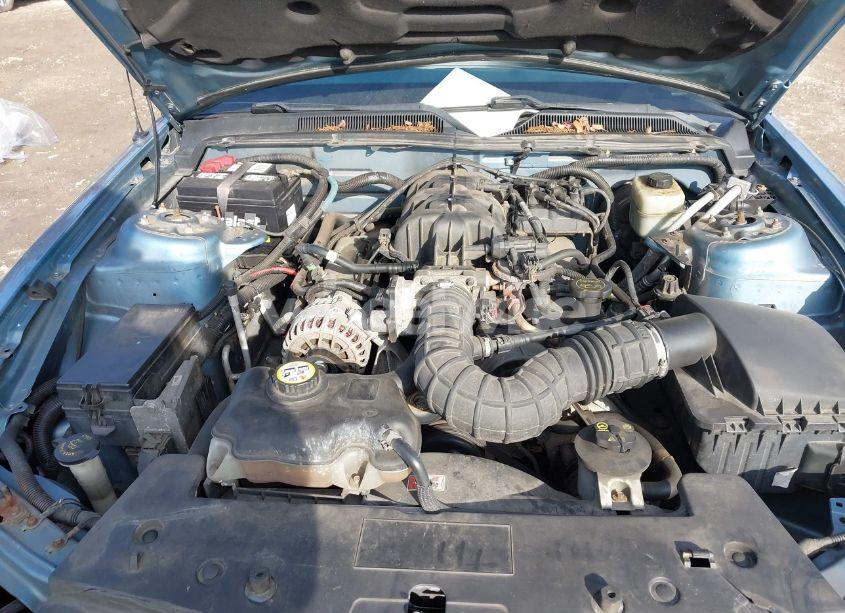 Photo 10 of 2006 Ford Mustang V6 (VIN 1ZVFT80N965136812)