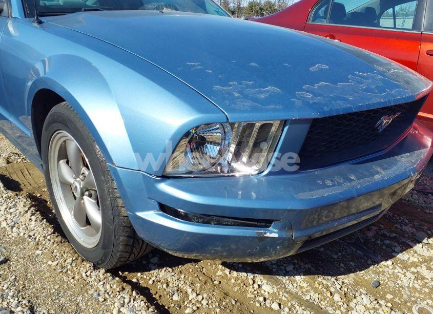 Photo 13 of 2006 Ford Mustang V6 (VIN 1ZVFT80N965136812)