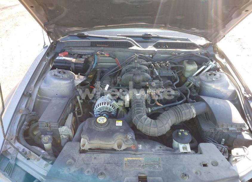 Photo 10 of 2006 Ford Mustang V6 (VIN 1ZVFT80N965164867)