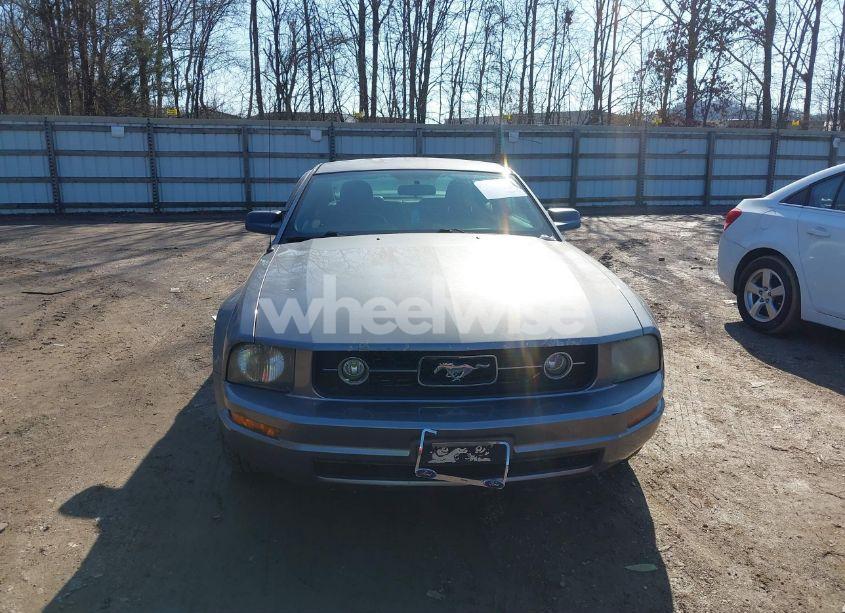 Photo 6 of 2006 Ford Mustang V6 (VIN 1ZVFT80N965164867)