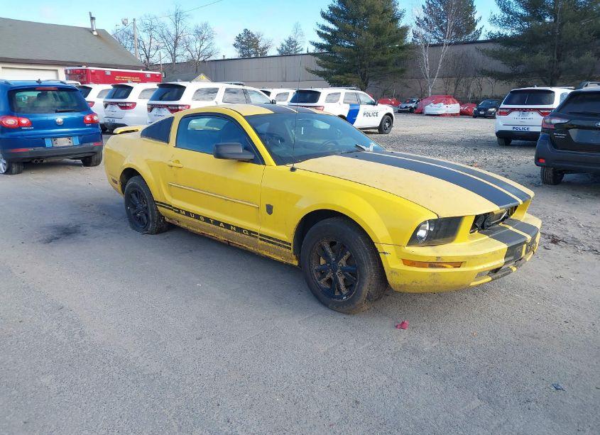 2006 Ford Mustang V6 (VIN 1ZVFT80N965199215) main photo