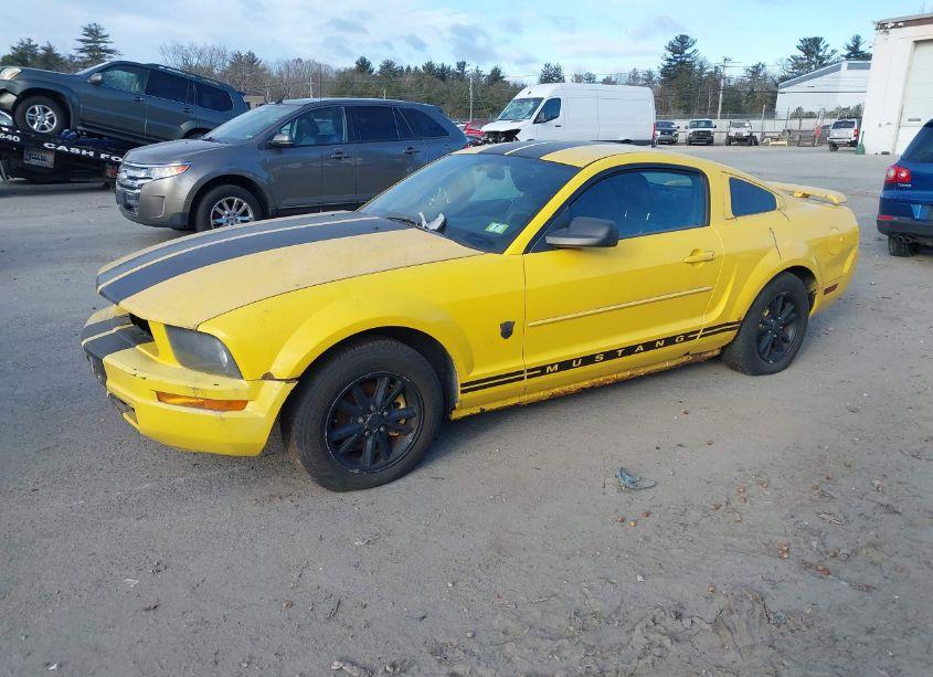 Photo 2 of 2006 Ford Mustang V6 (VIN 1ZVFT80N965199215)