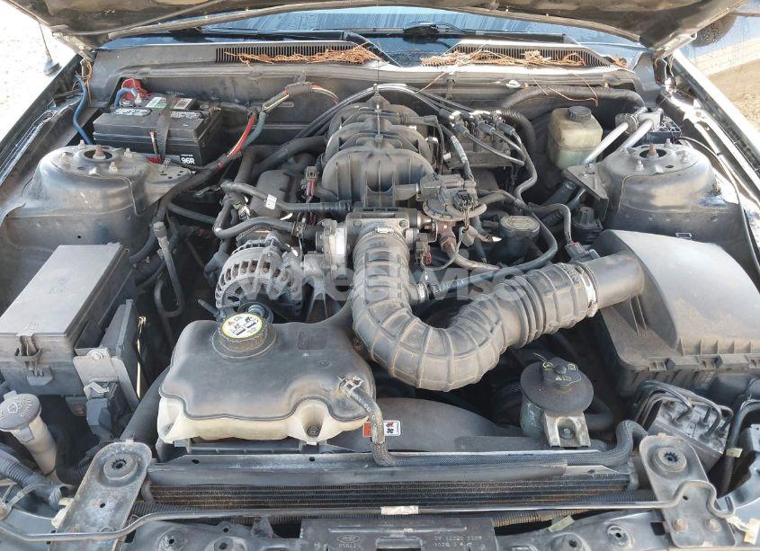 Photo 10 of 2006 Ford Mustang V6 (VIN 1ZVFT80N965245562)