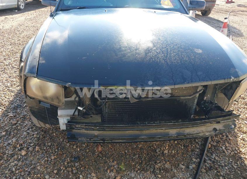Photo 6 of 2006 Ford Mustang V6 (VIN 1ZVFT80N965245562)